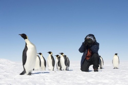 Antarktis: Reisen in die Heimat der Pinguine - Abenteuerurlaub