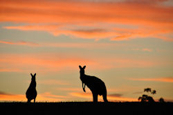 Australien – einfach unvergleichlich - Natururlaub