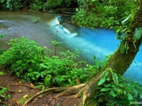 Rio Celeste, Foto: travel-to-nature