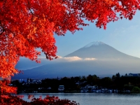 Fuji San im Herbst