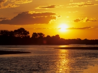 Selous, Wildreservat Rufiji-River, Foto: Outback Africa