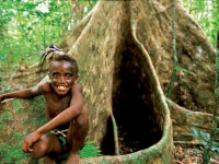 Banyan Boy, Foto: Vanuatu Tourism Office