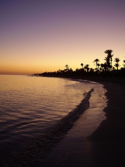 Sonnenuntergang auf Djerba (Tunesien)  (Bild: djerba_sunset_palms, rroland, CC BY-SA)