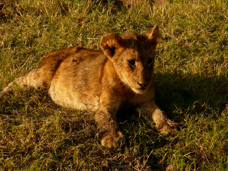 Sambia Reisen 2020 Afrikas Geheimes Paradies